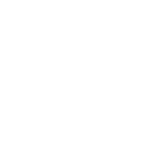 Netskope logo